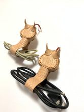 画像をギャラリービューアに読み込む, サハラツノクサリヘビのケーブルバンド