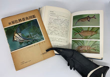 画像をギャラリービューアに読み込む, 【エレファントノーズフィッシュの札ばさみ】