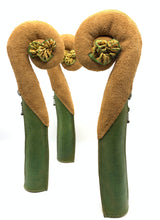 画像をギャラリービューアに読み込む, ヒカゲヘゴの新芽ポーチ