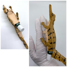 画像をギャラリービューアに読み込む, 【ガビアル赤ちゃんのリップが入る指輪】