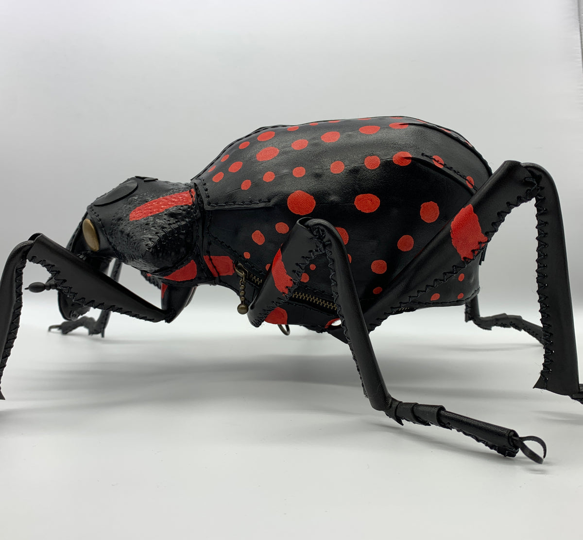 豪州のハイカラな大型ゾウムシ アカモンオウサマゾウムシのBAG – あまのじゃくとへそまがり