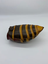 画像をギャラリービューアに読み込む, スズメバチネジレバネが寄生したポーチ