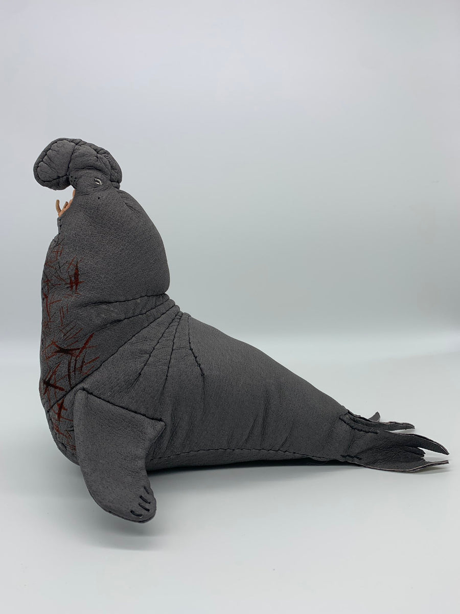 ゾウアザラシMサイズ ミナミゾウアザラシは、世界で最も大きい食肉目です。成体のオス