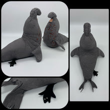 画像をギャラリービューアに読み込む, キタゾウアザラシのブックエンド