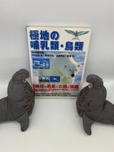 画像をギャラリービューアに読み込む, キタゾウアザラシのブックエンド