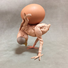 画像をギャラリービューアに読み込む, カッコウのヒナの托卵エッグスタンド