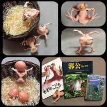 画像をギャラリービューアに読み込む, カッコウのヒナの托卵エッグスタンド