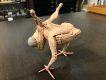 画像をギャラリービューアに読み込む, カッコウのヒナの托卵エッグスタンド