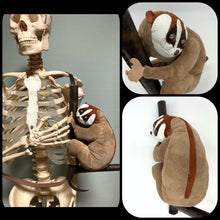 画像をギャラリービューアに読み込む, スローロリスのポーチ