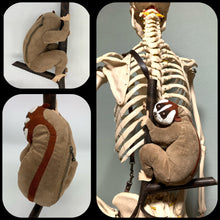 画像をギャラリービューアに読み込む, スローロリスのポーチ