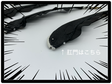 画像をギャラリービューアに読み込む, 【ブラックゴーストのチャーム】