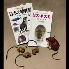 Load image into Gallery viewer, アカネズミとオニグルミのストラップ