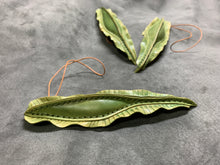 Load image into Gallery viewer, ギンザメ卵のストラップ あまのじゃくとへそまがり