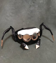 Load image into Gallery viewer, マミジロハエトリのゴーグル Evarcha albaria