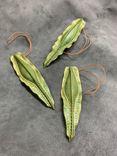 Load image into Gallery viewer, ギンザメ卵のストラップ あまのじゃくとへそまがり