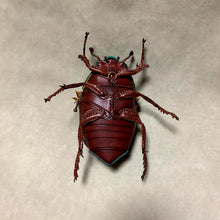 Load image into Gallery viewer, アオドウガネのポーチ Anomala albopilosa pouch