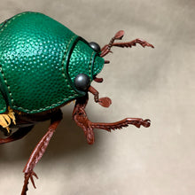 Load image into Gallery viewer, アオドウガネのポーチ Anomala albopilosa pouch