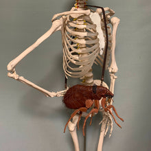 画像をギャラリービューアに読み込む, ネコノミのBAG Cat flea bag