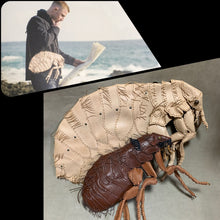 画像をギャラリービューアに読み込む, ネコノミのBAG Cat flea bag