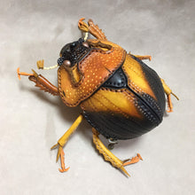 画像をギャラリービューアに読み込む, ムネアカセンチコガネのポーチ Geotrupidae pouch