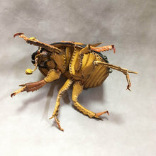 画像をギャラリービューアに読み込む, ムネアカセンチコガネのポーチ Geotrupidae pouch