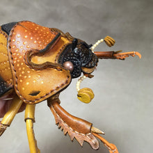 画像をギャラリービューアに読み込む, ムネアカセンチコガネのポーチ Geotrupidae pouch