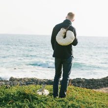 画像をギャラリービューアに読み込む, カブトムシの幼虫のBAG Beetle larva bag