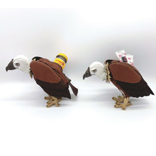 画像をギャラリービューアに読み込む, ハゲワシのポーチ