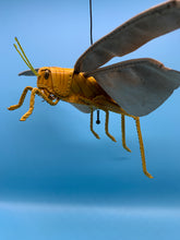 画像をギャラリービューアに読み込む, サバクトビバッタのペンケース