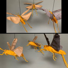 画像をギャラリービューアに読み込む, サバクトビバッタのペンケース