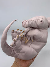 画像をギャラリービューアに読み込む, ツチブタ赤ちゃんの枕