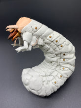 画像をギャラリービューアに読み込む, オオセンチコガネの幼虫のペーパーウエイト