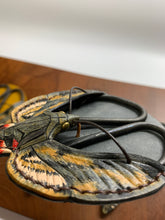 画像をギャラリービューアに読み込む, エビガラスズメの鋏入れ