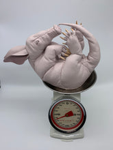 画像をギャラリービューアに読み込む, ツチブタ赤ちゃんの枕