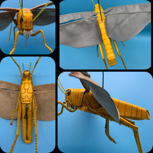 画像をギャラリービューアに読み込む, サバクトビバッタのペンケース