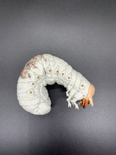 画像をギャラリービューアに読み込む, オオセンチコガネの幼虫のペーパーウエイト