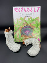 画像をギャラリービューアに読み込む, オオセンチコガネの幼虫のペーパーウエイト