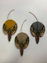 画像をギャラリービューアに読み込む, エビガラスズメの鋏入れ