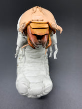 画像をギャラリービューアに読み込む, オオセンチコガネの幼虫のペーパーウエイト