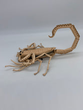 Load image into Gallery viewer, アリゾナバークスコーピオンの小物入れ