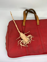 Load image into Gallery viewer, アリゾナバークスコーピオンの小物入れ