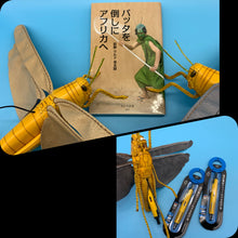 画像をギャラリービューアに読み込む, サバクトビバッタのペンケース