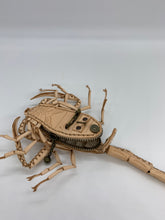 Load image into Gallery viewer, アリゾナバークスコーピオンの小物入れ