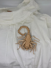 Load image into Gallery viewer, アリゾナバークスコーピオンの小物入れ