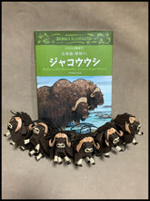 画像をギャラリービューアに読み込む, あまのじゃくとへそまがり ジャコウウシ