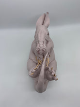 画像をギャラリービューアに読み込む, ツチブタ赤ちゃんの枕