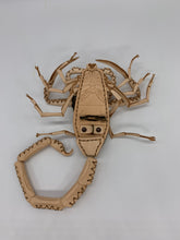 Load image into Gallery viewer, アリゾナバークスコーピオンの小物入れ