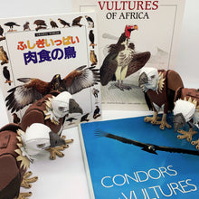 画像をギャラリービューアに読み込む, ハゲワシのポーチ あまのじゃくとへそまがり