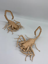 Load image into Gallery viewer, アリゾナバークスコーピオンの小物入れ