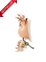 画像をギャラリービューアに読み込む, ミジンコのケース Daphnia pulex